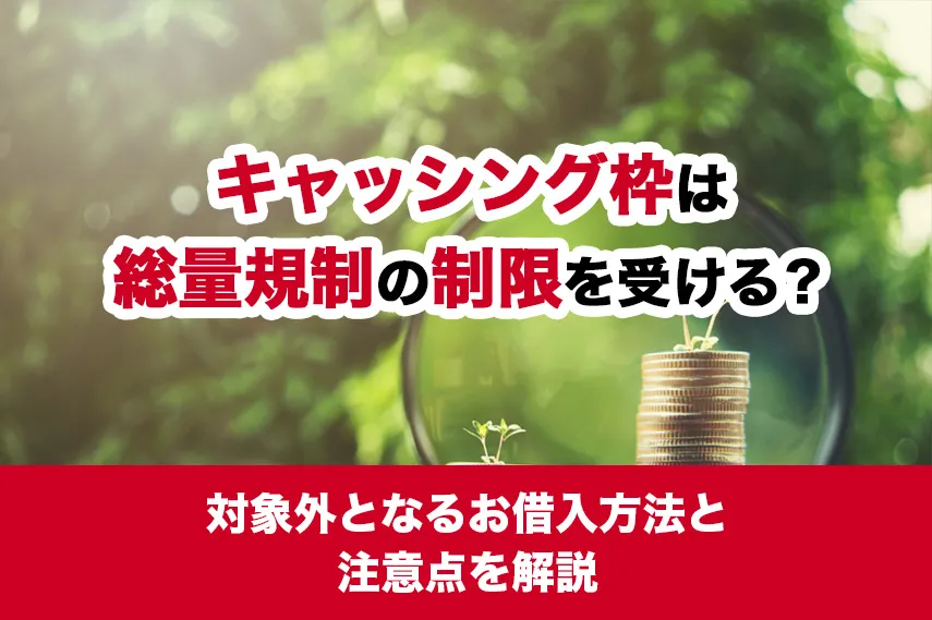 キャッシング枠は総量規制の制限を受ける？対象外となるお借入方法と注意点を解説