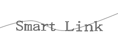 Smart Link co., ltd.