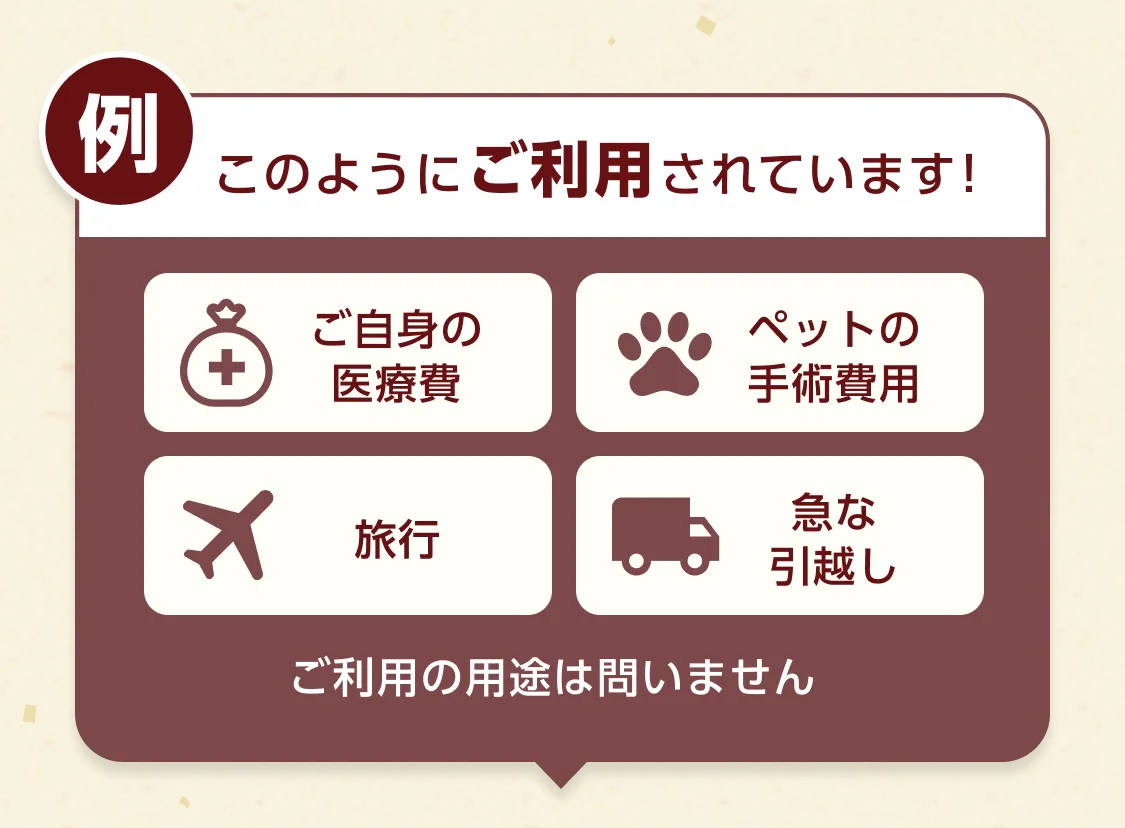 例 このようにご利用されています！ 「ご自身の医療費」「ペットの手術費用」「旅行」「急な引越し」ご利用の用途は問いません